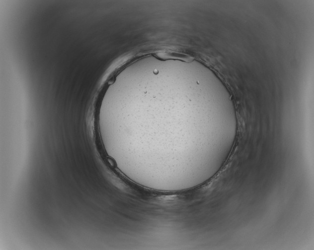 X0000112410054200909041405