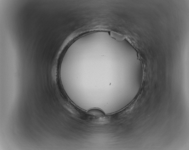 X0000112410056200909041405