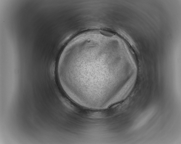 X0000112410058200909041405