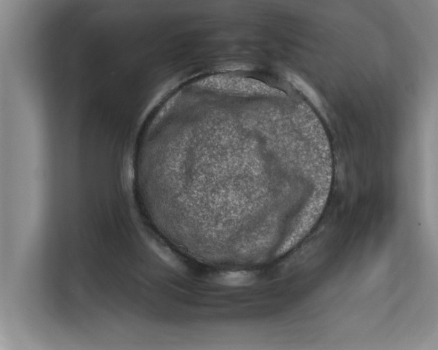 X0000112410059200909041405