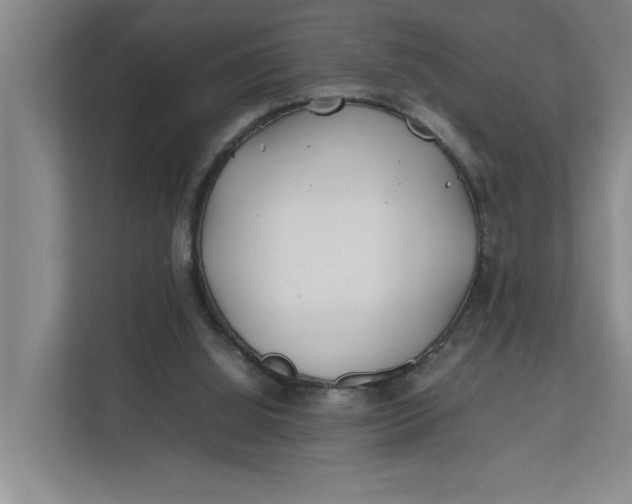 X0000112410060200909041405