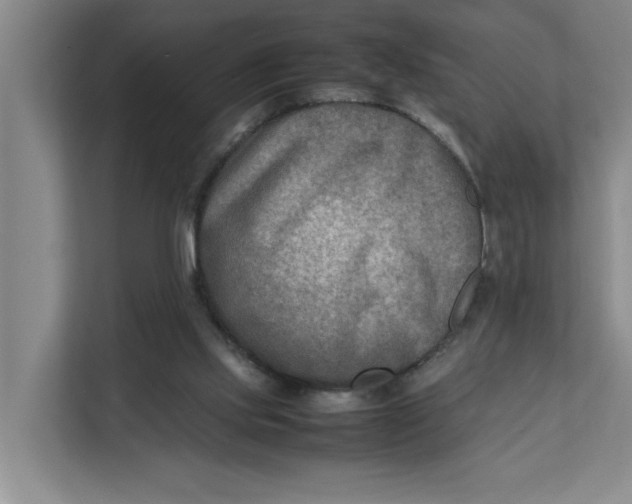 X0000112410061200909041405