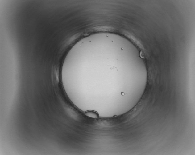X0000112410062200909041405