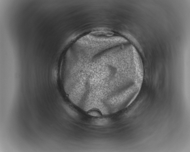 X0000112410063200909041405