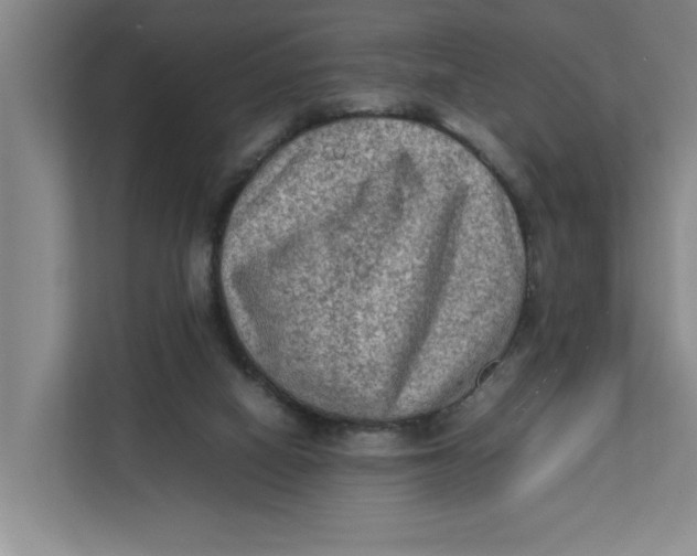 X0000112410066200909041405