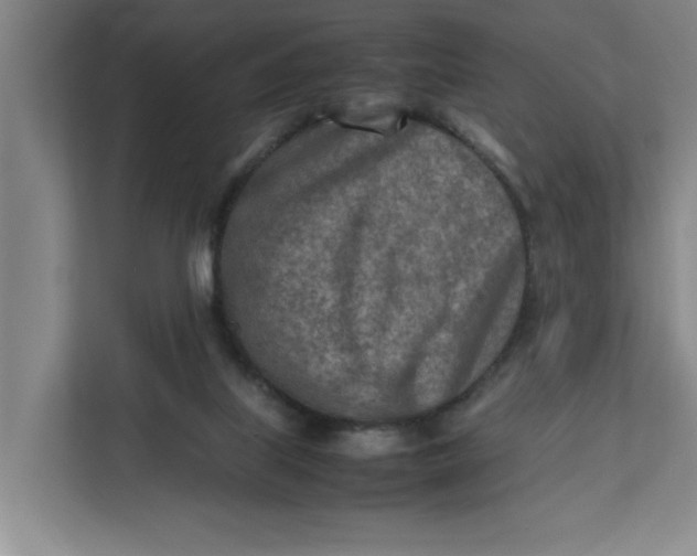 X0000112410067200909041405