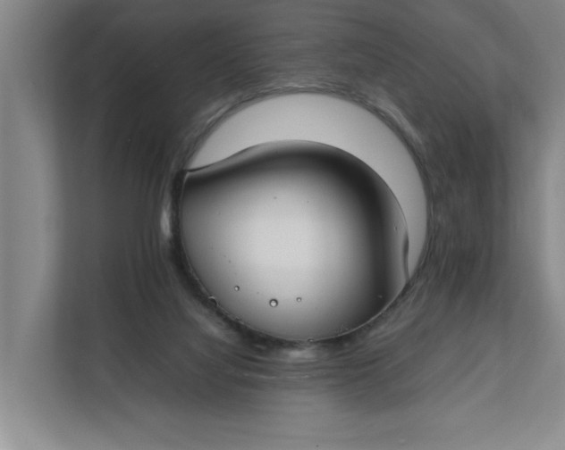 X0000112410068200909041405