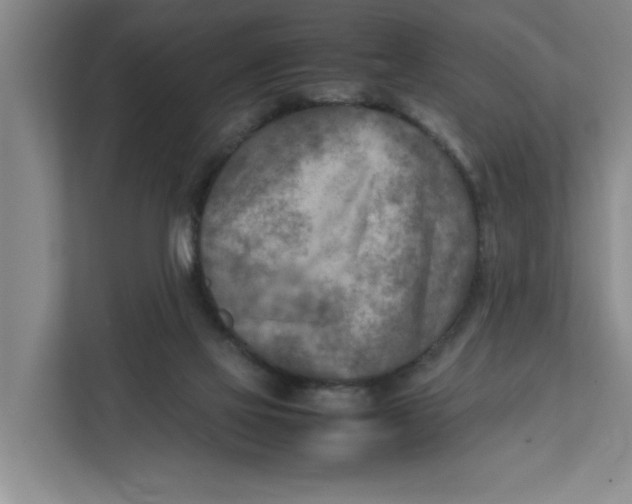 X0000112410069200909041405