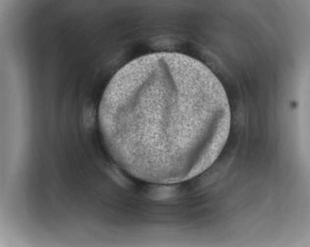 X0000112410081200909041405