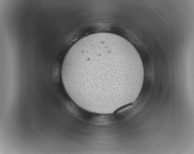 X0000112410082200909041405