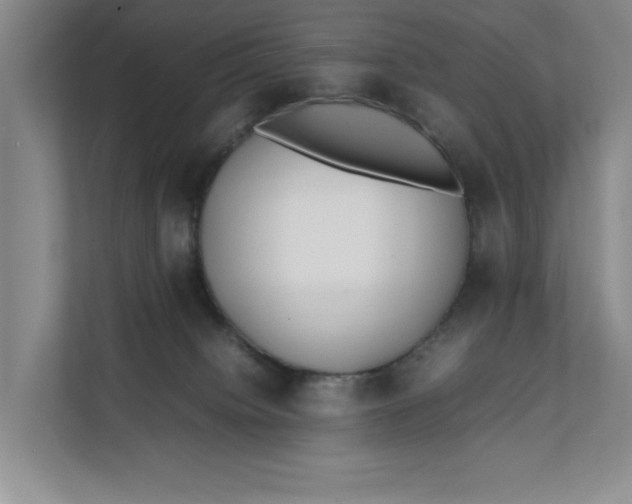 X0000112410084200909041405