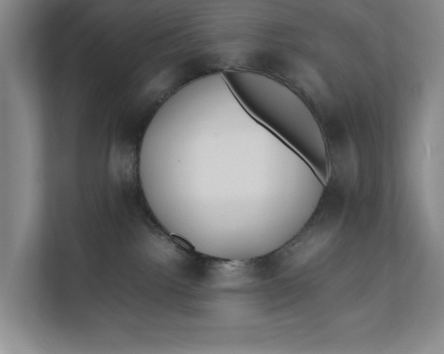 X0000112410092200909041405