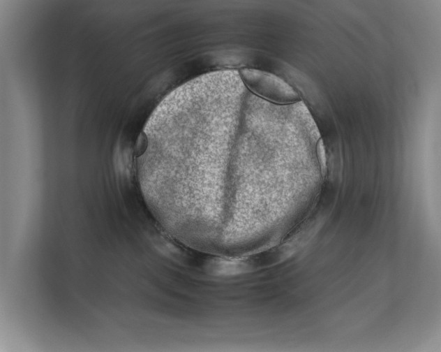 X0000112410093200909041405