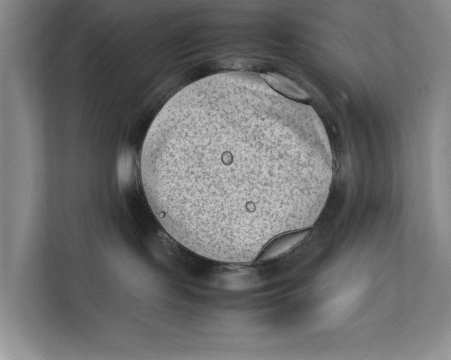 X0000112410095200909041405