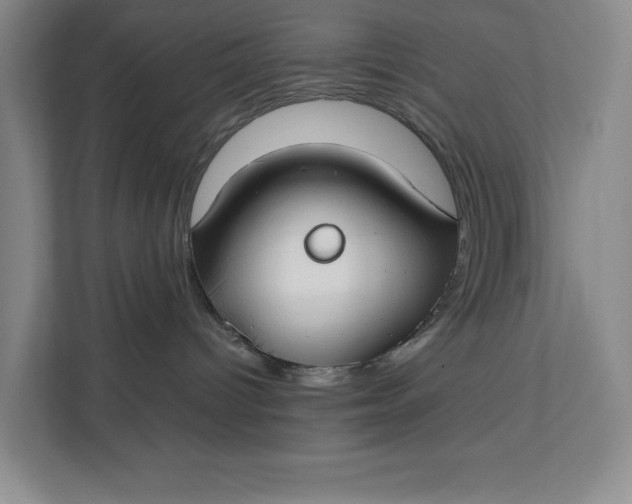 X0000112410096200909041405