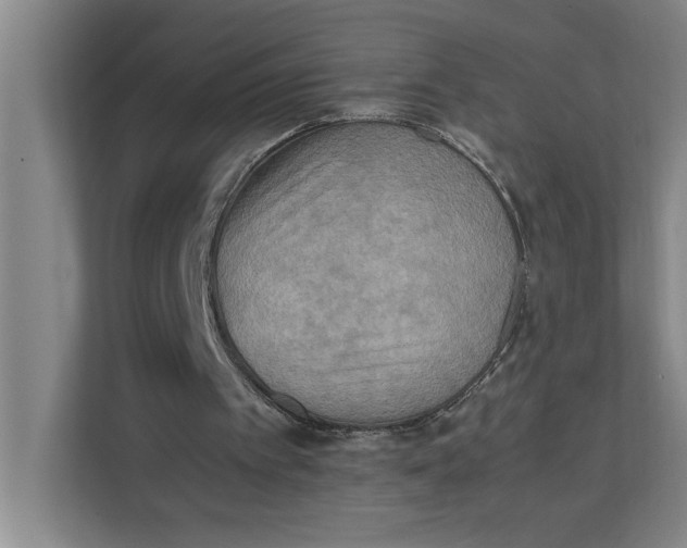 X0000112410097200909041404