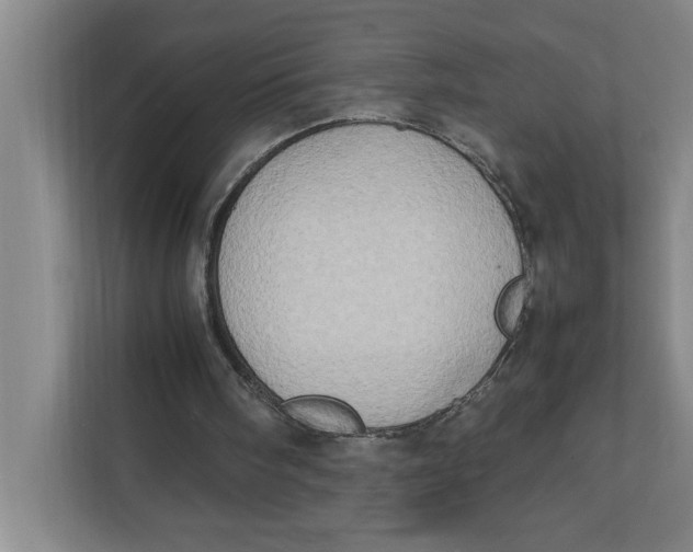 X0000112410098200909041404