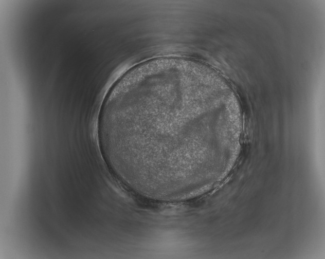 X0000112410099200909041404