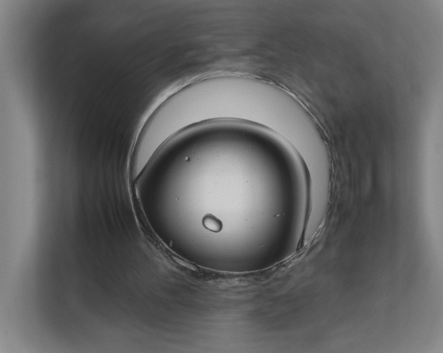 X0000112410100200909041404