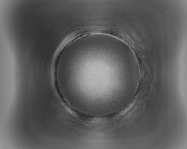 X0000112410101200909041404