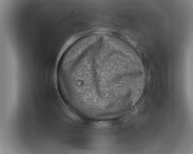 X0000112410102200909041404