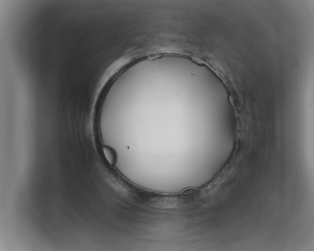 X0000112410104200909041404