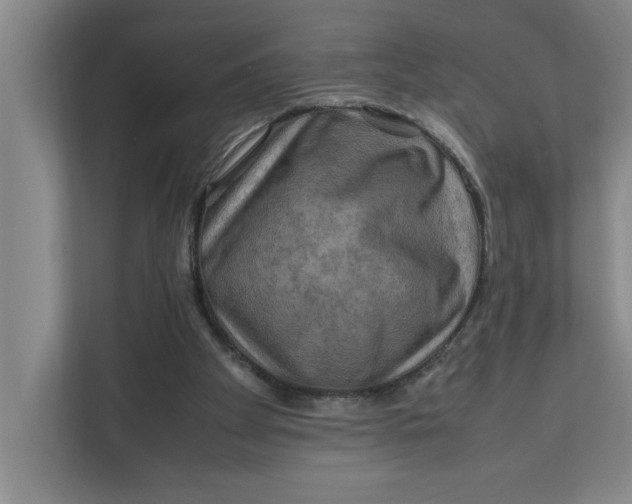 X0000112410105200909041404