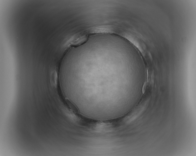 X0000112410109200909041404