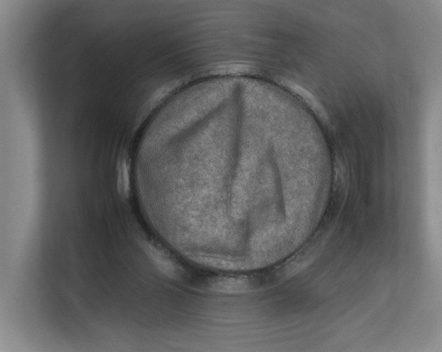 X0000112410110200909041404