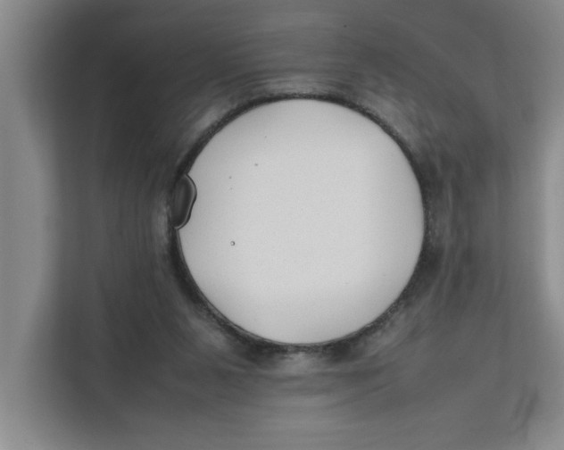 X0000112410111200909041404