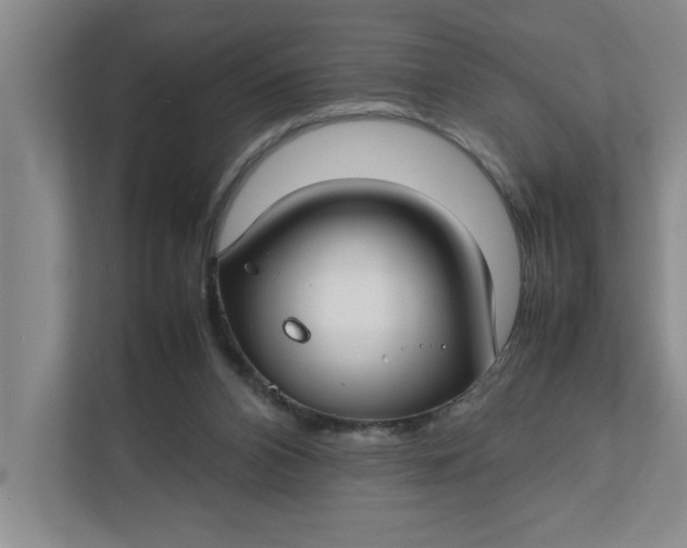 X0000112410112200909041404