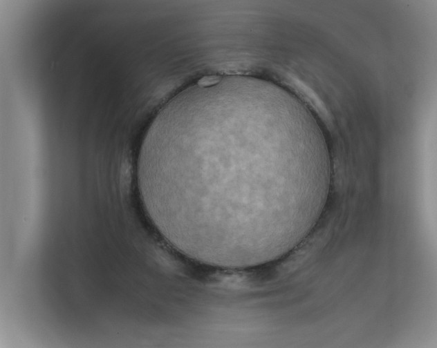 X0000112410113200909041404