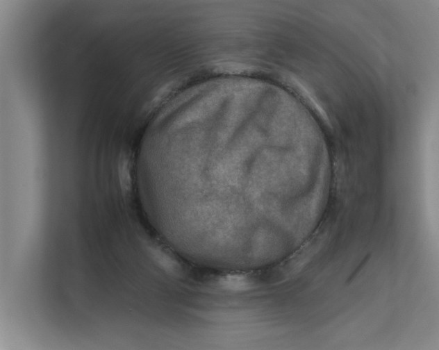 X0000112410114200909041404