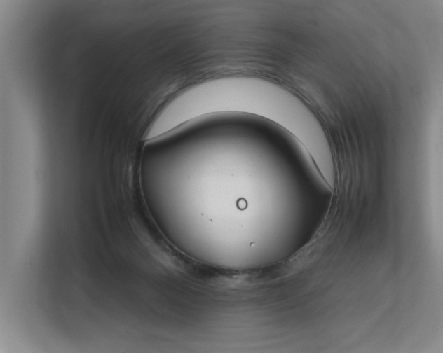 X0000112410120200909041404