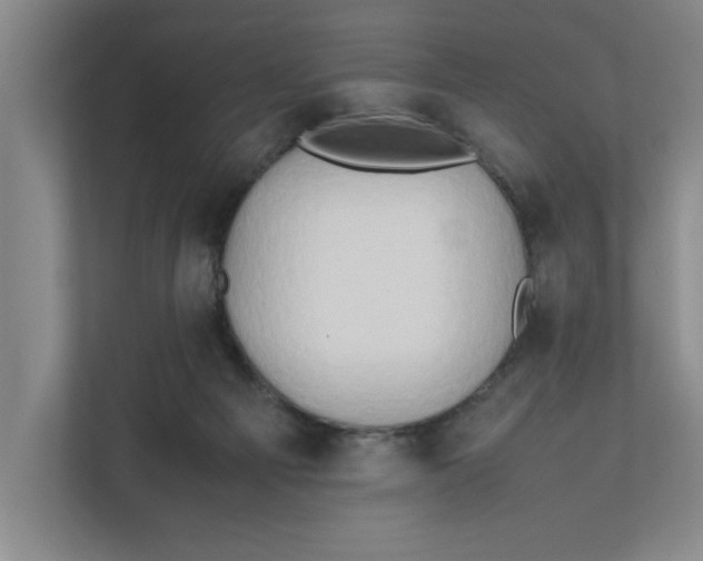 X0000112410121200909041404