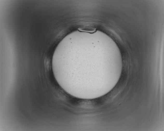 X0000112410123200909041404