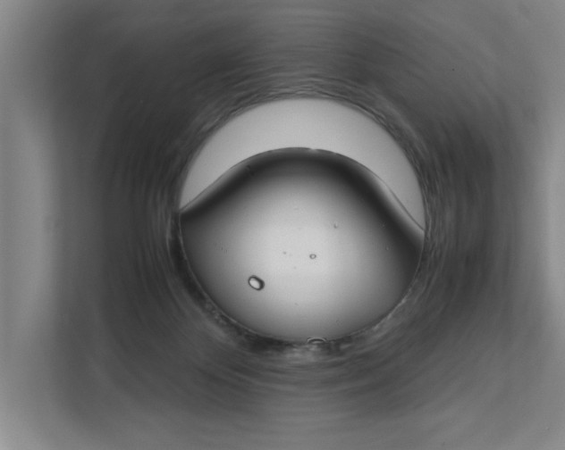 X0000112410124200909041404