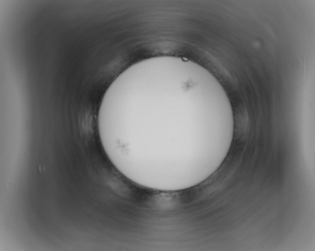 X0000112410126200909041404