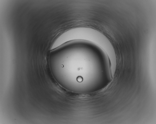 X0000112410128200909041404