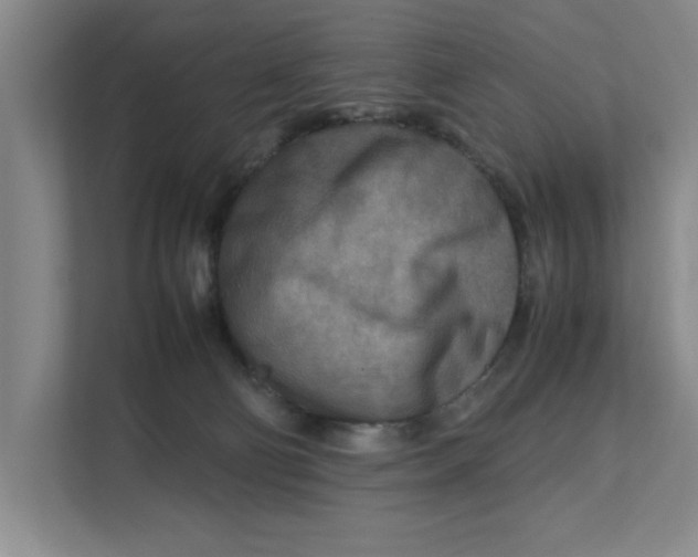 X0000112410130200909041404