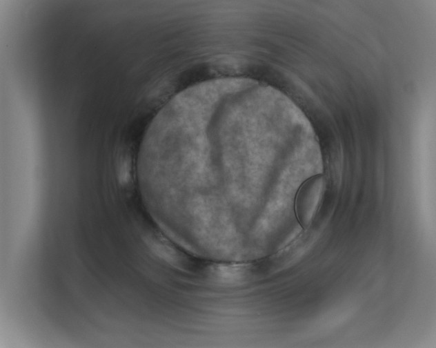 X0000112410134200909041404