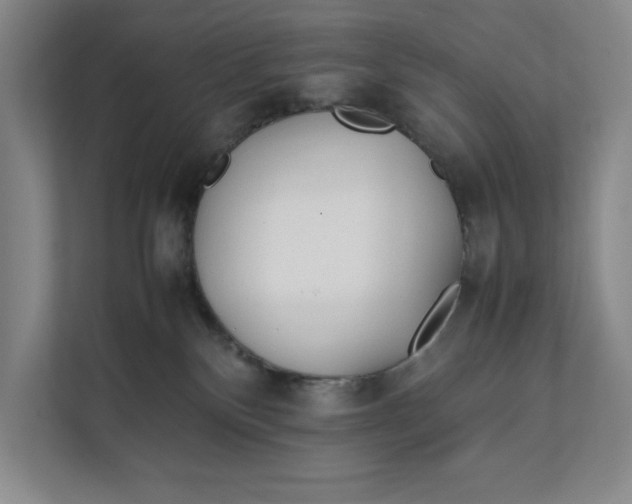 X0000112410136200909041404