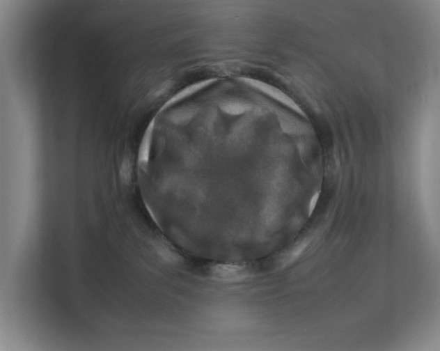 X0000112410139200909041404