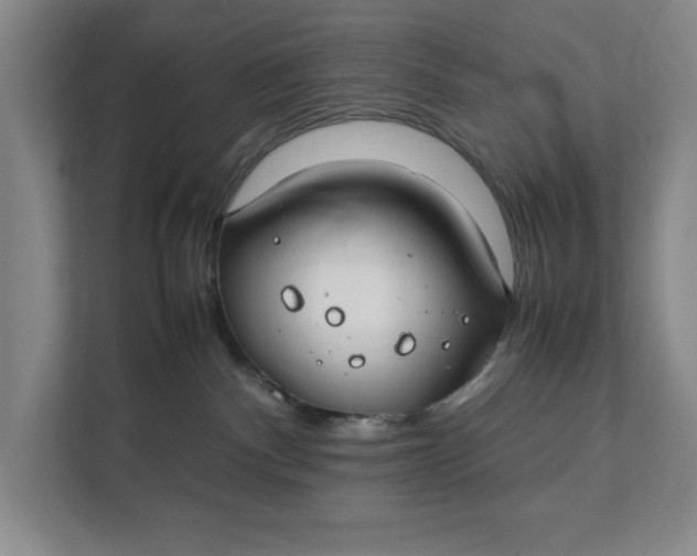 X0000112410140200909041404