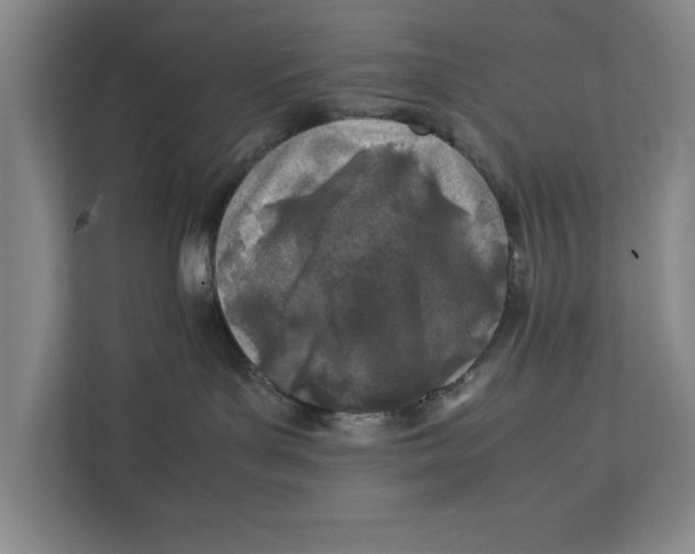 X0000112410143200909041404