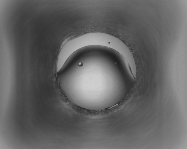 X0000112410144200909041404