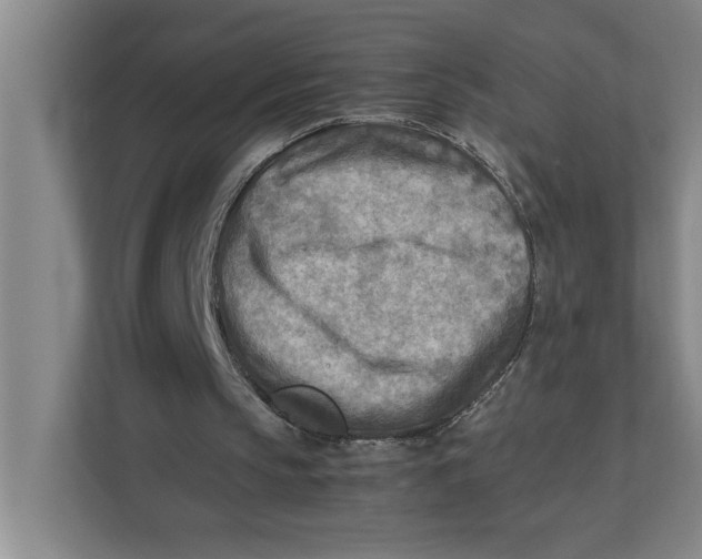 X0000112410145200909041403