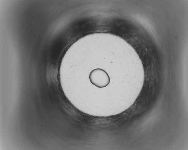 X0000112410146200909041403