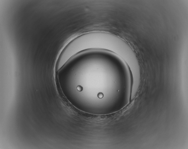 X0000112410148200909041403