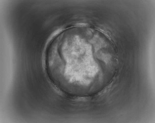 X0000112410149200909041403